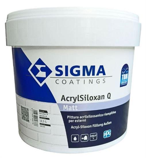 ACRYLSILOXAN Q ZN 12.5L COL.